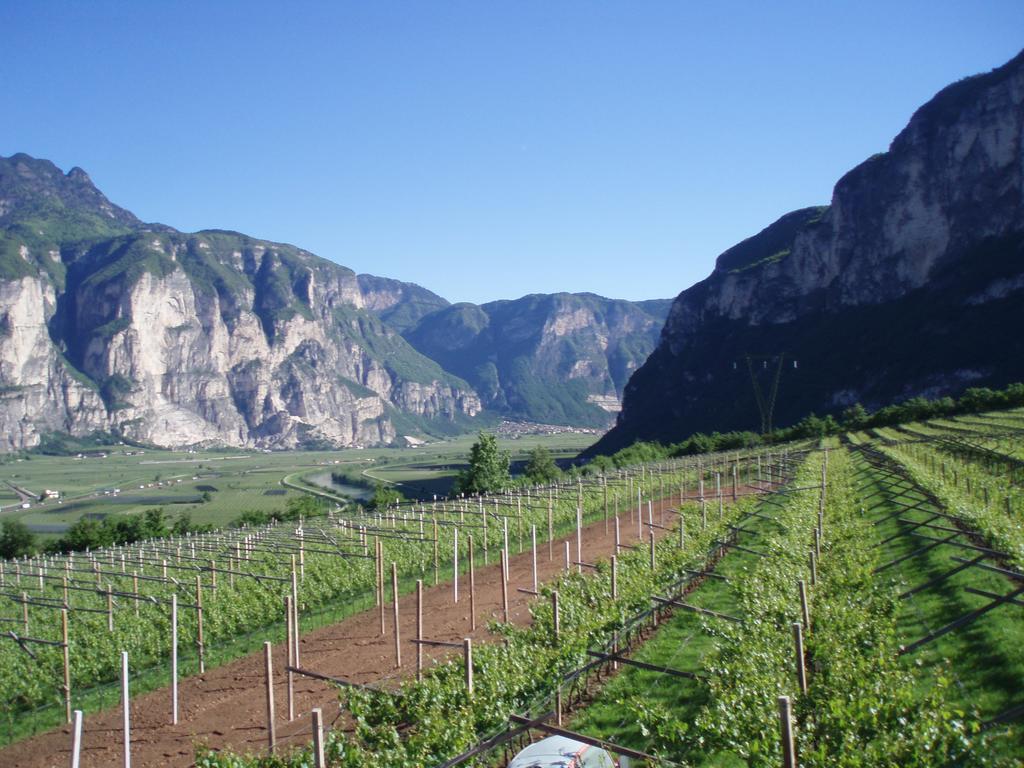 הוילה Faedo Agritur Maso Barco מראה חיצוני תמונה